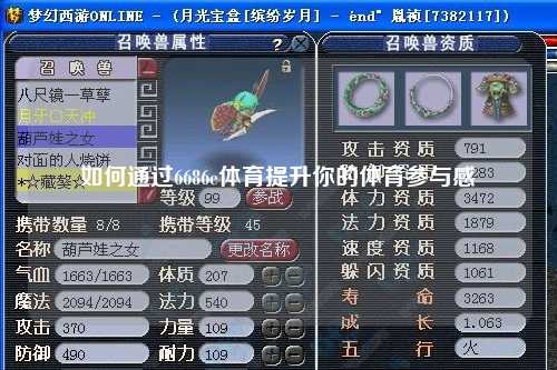 如何通过6686e体育提升你的体育参与感